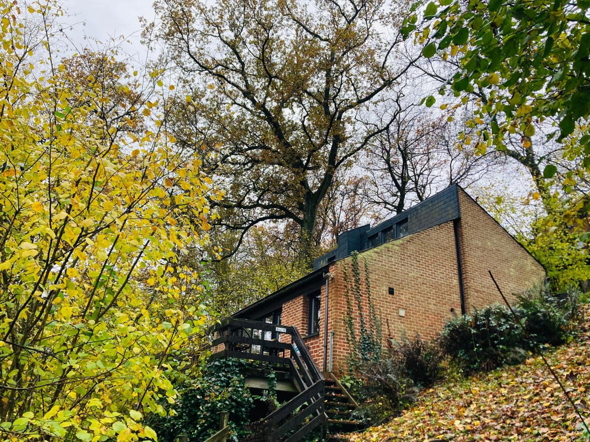 Woody Lodge - Duplex Nature Bonsoy Ardennes Hastiere-par-dela Exterior photo